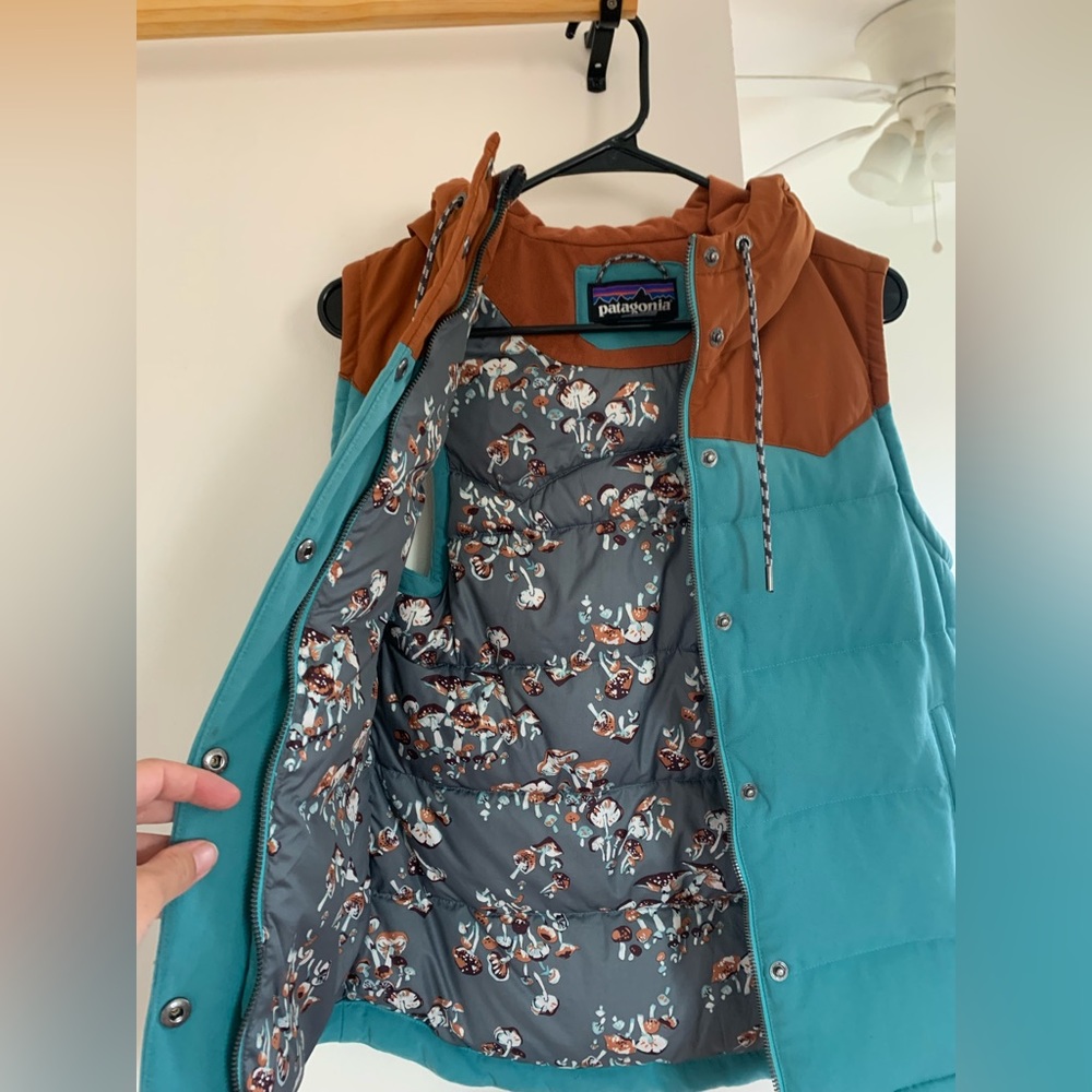 Patagonia vest